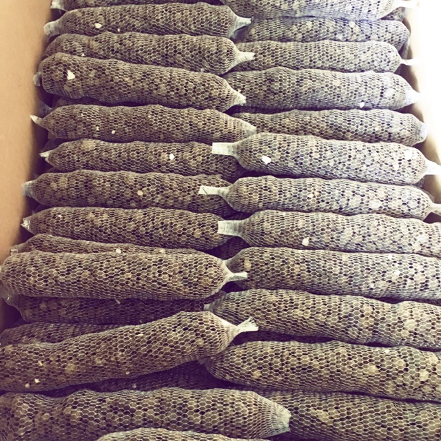 10 túi lưới phân dê 20cm bón phong lan