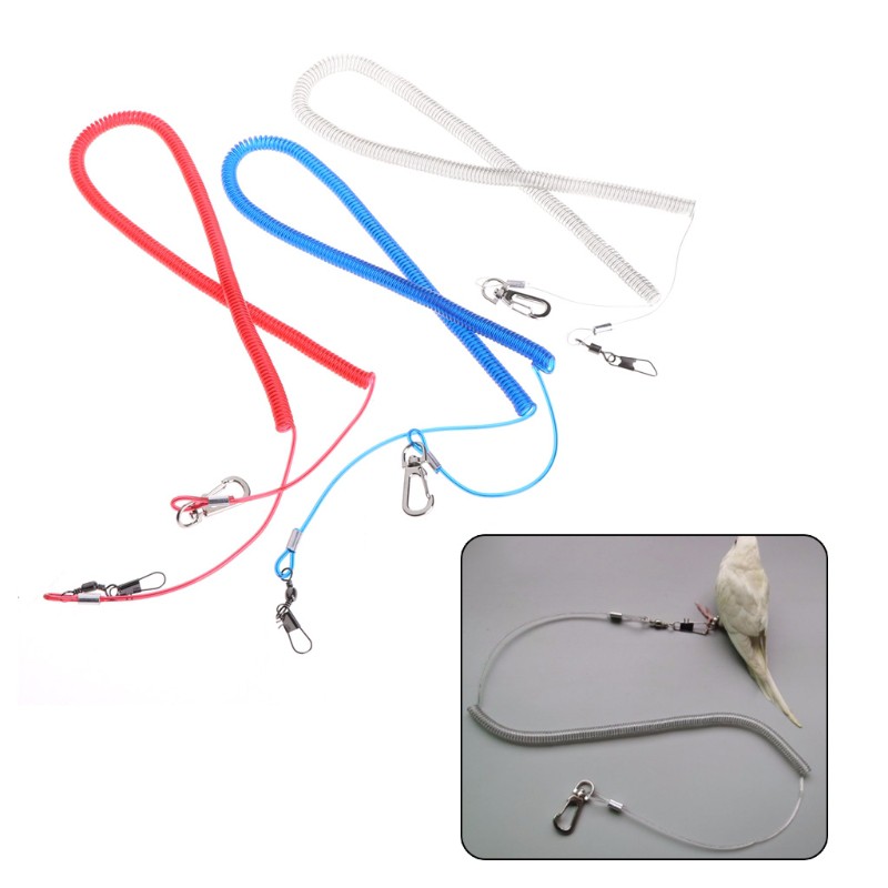 Dây tập bay bằng tpu chất lượng cao cho các loài chim