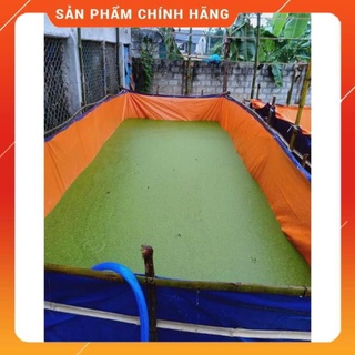 🐠 bể bạt nuôi cá , ốc , ếch , ba ba , tôm , 🐠