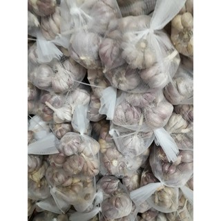 tỏi bắc-tỏi tím 1 kg