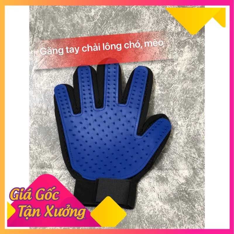 Găng tay lấy lông chó mèo