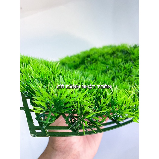 THẢM CỎ NHẬN TẠO MẪU 1 TRANG TRÍ HỒ CÁ LÓT NỀN HỒ CÁ 25X25CM