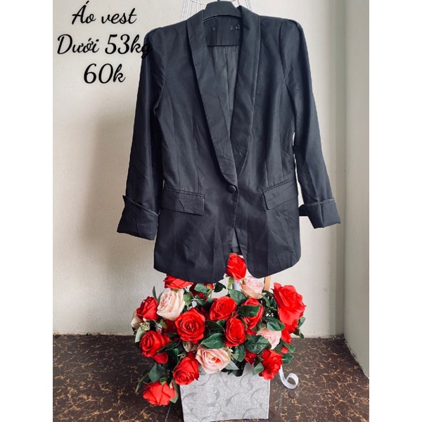 Áo vest
