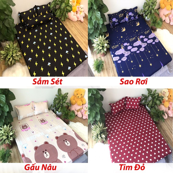 Bộ Ga gối Cotton Poly Các Mẫu Hót Nhất 2019