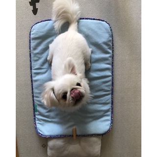 Thảm thú cưng mùa hè - DoggyMan