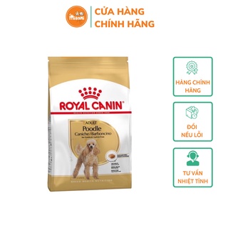Hạt cho chó - Royal canin poodle adult chó lớn