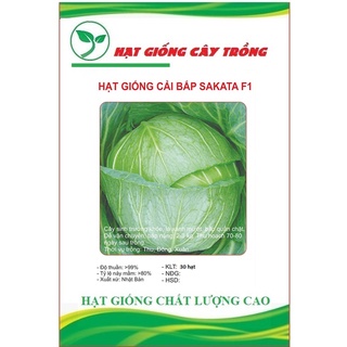 Hạt giống bắp cải xanh f1 ct1 - gói 30 hạt