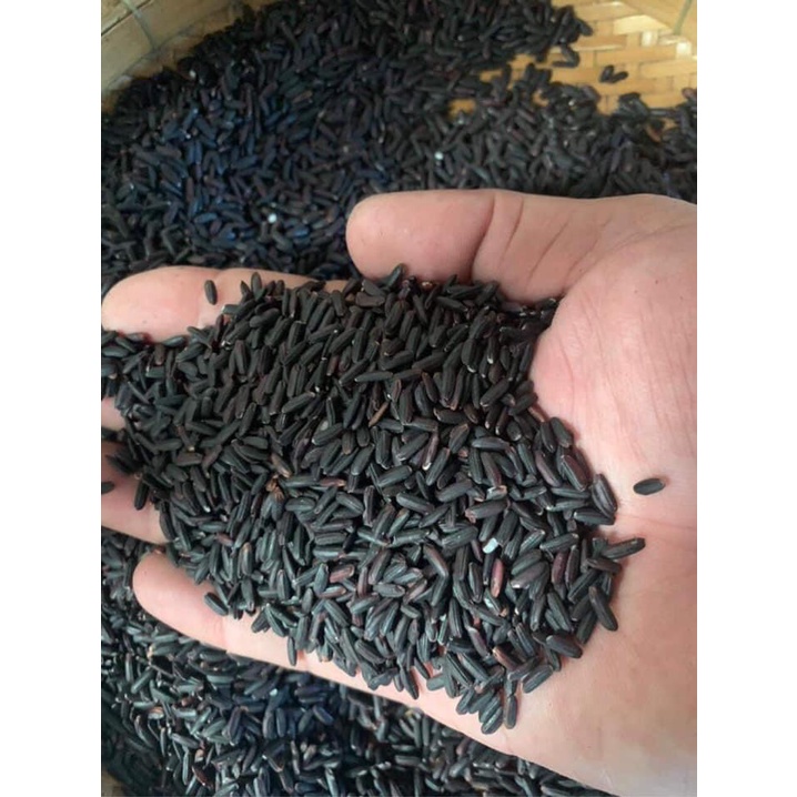 Gạo lứt đen dẻo Điện Biên thơm ngon 1kg | BigBuy360 - bigbuy360.vn