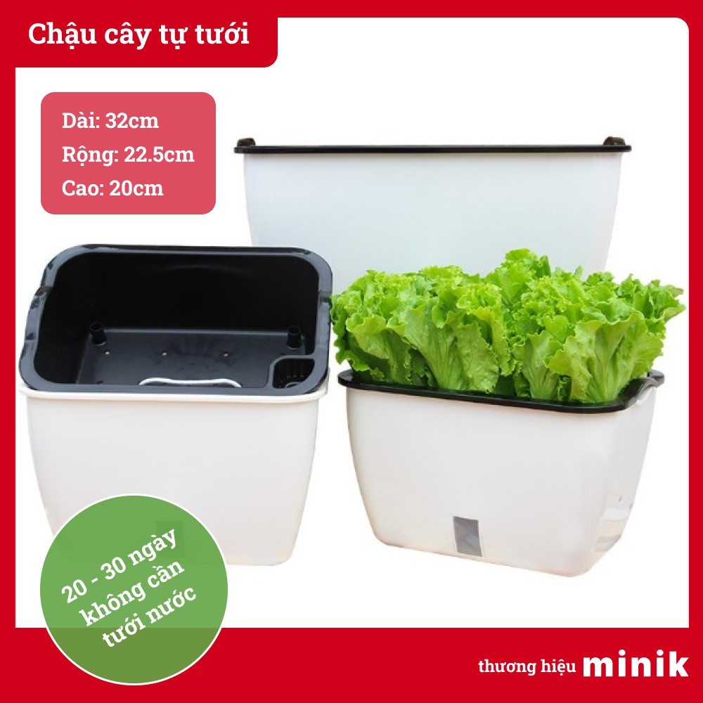 Chậu trồng rau, trồng cây tự dưỡng MINIK, kích thước lớn, với thiết kế 2 lớp tự tưới, để trong nhà hoặc ban công