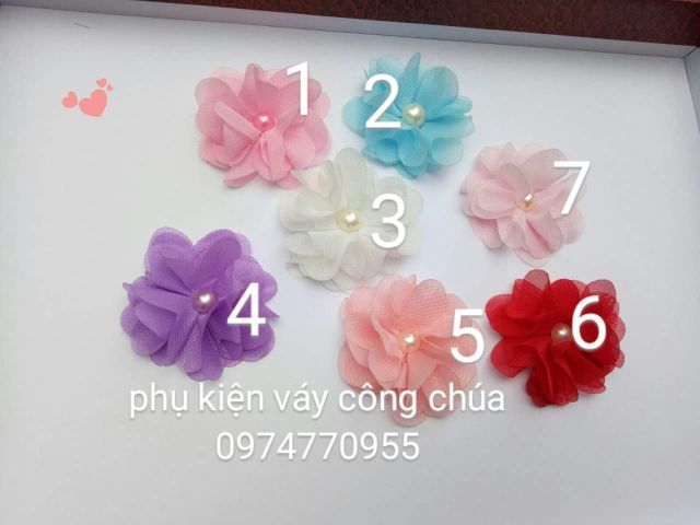 Hoa chiffon.