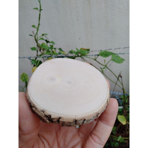 1 kg lát gỗ 5-6cm