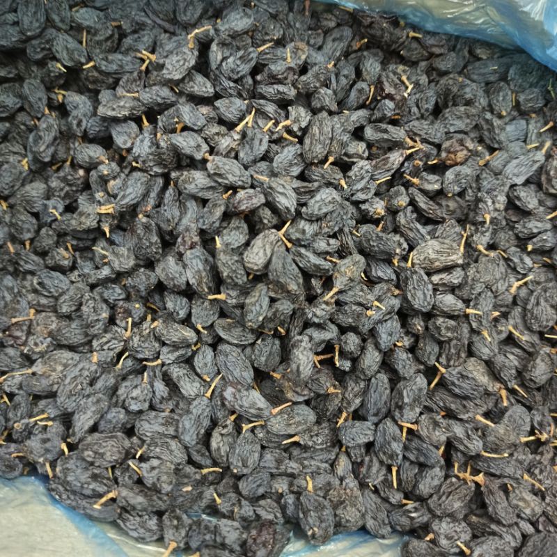 [T11/2022] Nho đen Nga nguyên cuống hàng mới 2021