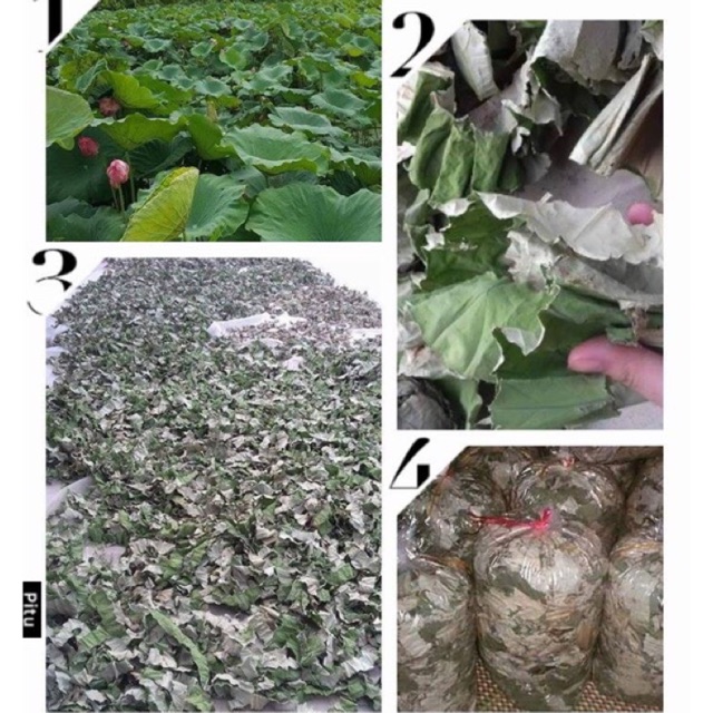 1kg Lá sen khô giảm cân, ngủ ngon, hạ mỡ máu | BigBuy360 - bigbuy360.vn