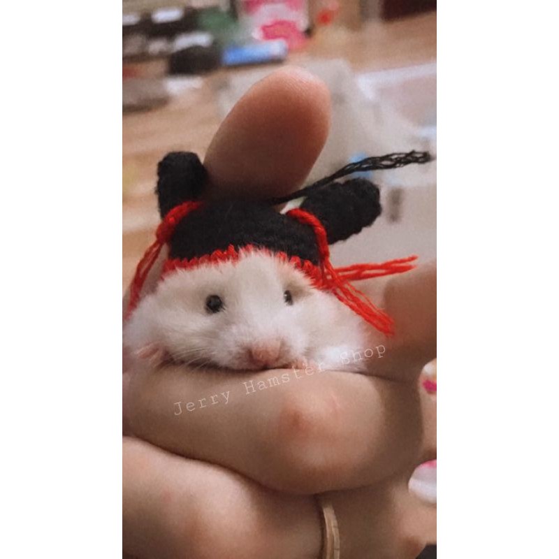 Mũ natra cho hamster