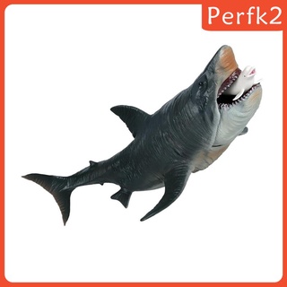 Mô hình cá mập Megalodon chân thật
