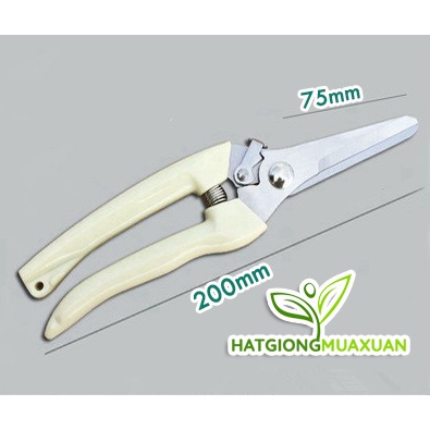Tổng hợp dụng cụ làm vườn