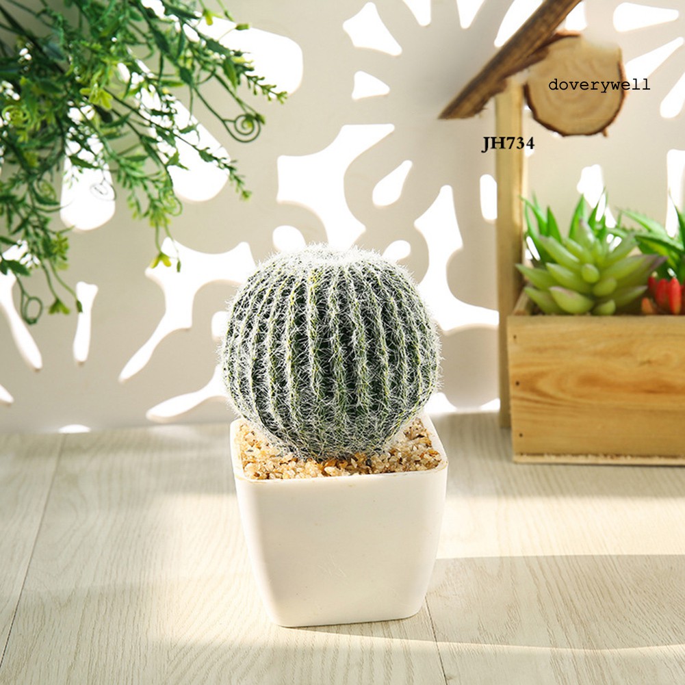 Cây xương rồng giả trang trí mini