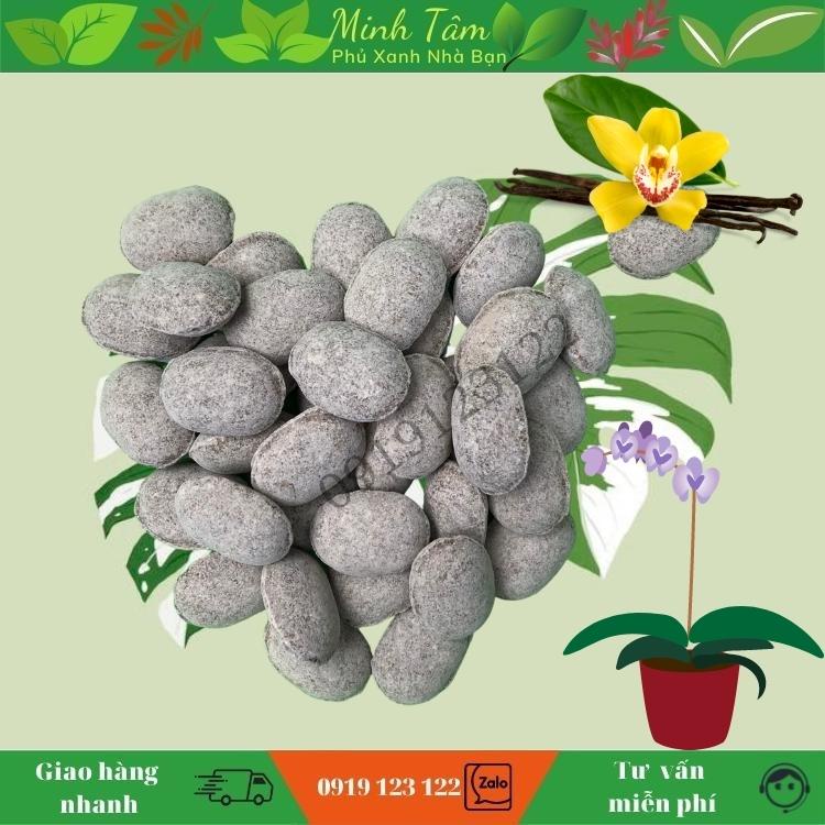 Phân Tan Chậm Hạt Bàng Nhật Nurseryace 12-6-6