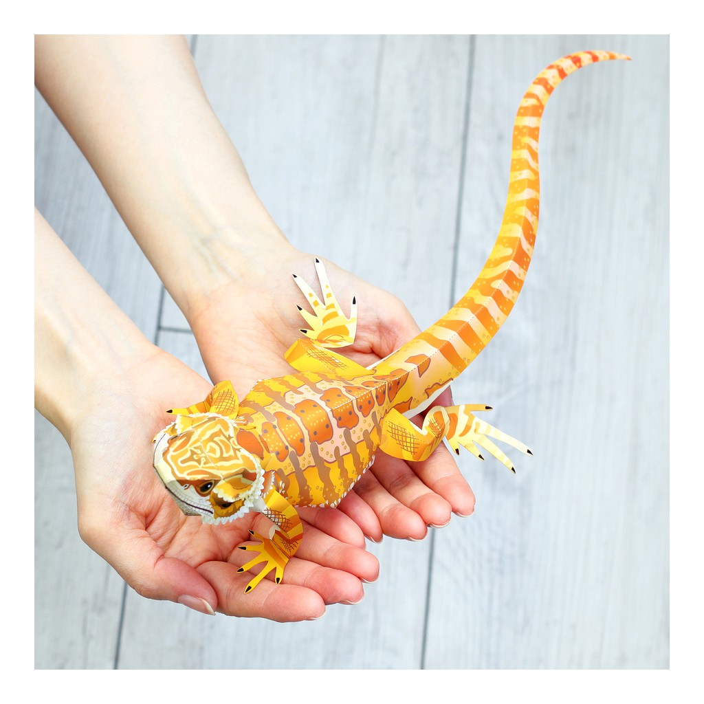 Mô hình giấy động vật bò sát Central Bearded Dragon