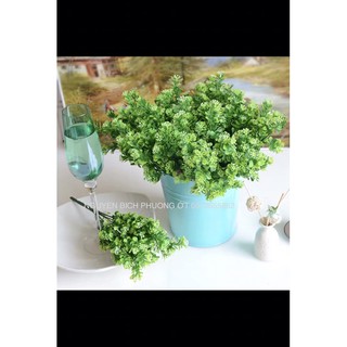 🍀 Lá Điểm Cành Ngâu Decor