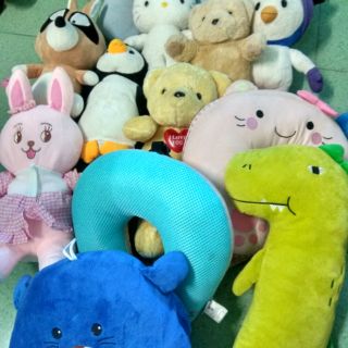 Gấu của Hiền