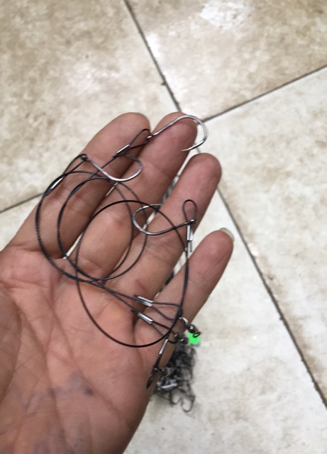 3 sợi cáp câu cá chim