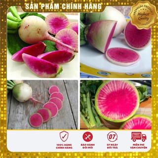 Hạt Giống Củ Cải Dưa Hấu ( 2 gram)