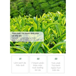 Sữa rửa mặt cho da dầu, mụn, tinh chất Trà Xanh Vacci