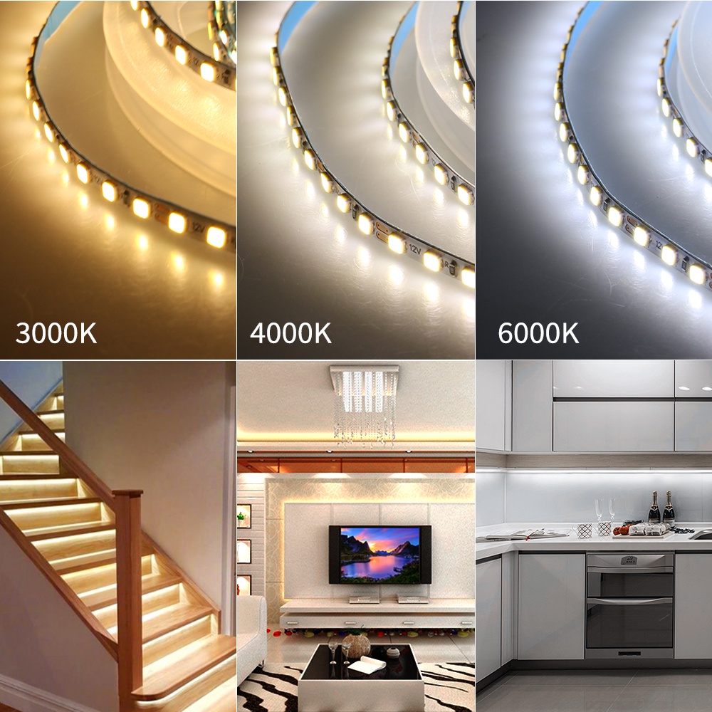 Cuộn Dây Đèn LED 3mm 5M 2025 168 LEDs / m DC12V 3000K 4000K 6000K Trang Trí Phòng Khách Sạn