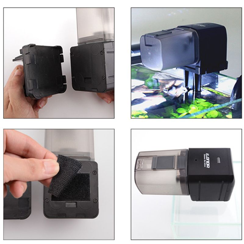 Thiết Bị Cho Cá Ăn Hẹn Giờ Thông Minh