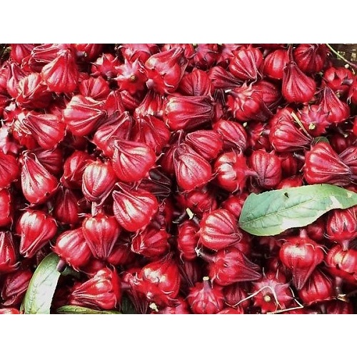 Sweeten Hibiscus - Mứt hoa hồng SPICESUPPLY Việt Nam loại ngon dẻo Hũ 80g
