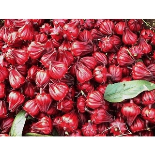 Mứt Atiso đỏ (mứt Hibiscus) DaLaVi - FREESHIP - Đặc Sản Đà Lạt