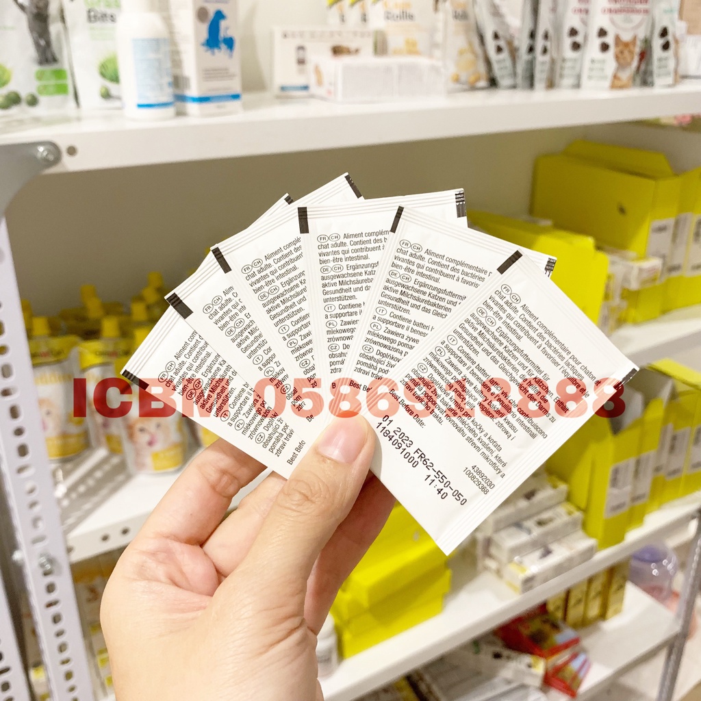 MEN TIÊU HOÁ PURINA PRO PLAN HỖ TRỢ VÀ ỔN ĐỊNH ĐƯỜNG TIÊU HÓA Ở MÈO VÀ MÈO CON