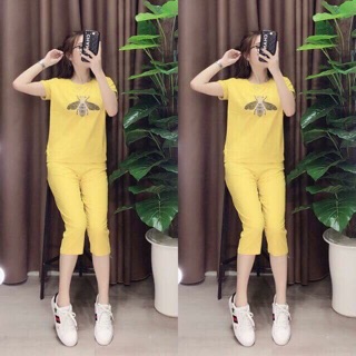 Com bo 4 bộ mặc nhà chỉ với đủ các mẫu mầu