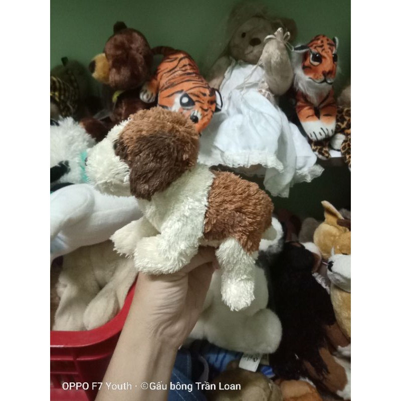 Gấu bông hình chú chó dễ thương