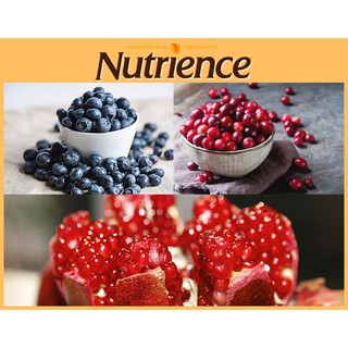 HẠT NUTRIENCE SUBZERO MÈO BAO 2.27KG