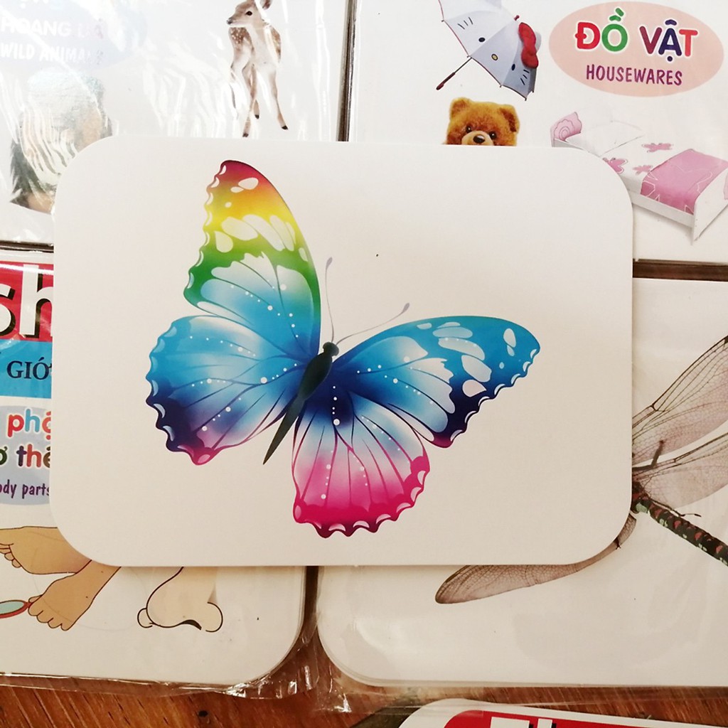 Bộ Thẻ Học Thông Minh 15 Chủ Đề Loại To (FLASH CARD) - Chính hãng miDoctor