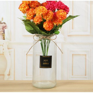 Bình hoa thủy tinh Mini đẹp cao 24cm PT032