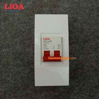 Combo cầu dao tự động chống quá tải và ngắn mạch LiOA 40A loại 2 cực - Lắp nổi