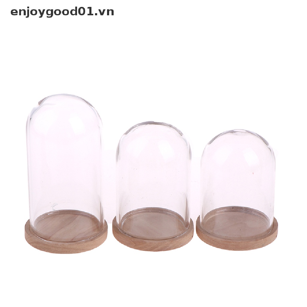 Lọ trưng bày thủy tinh cho nhà búp bê tỷ lệ 1:12