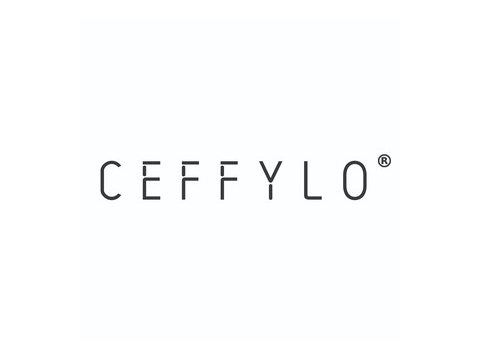 Ceffylo Logo
