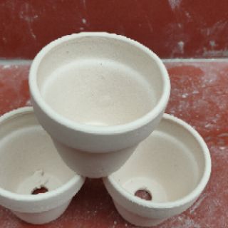 Combo 5 Chậu đất nung size 8 cm