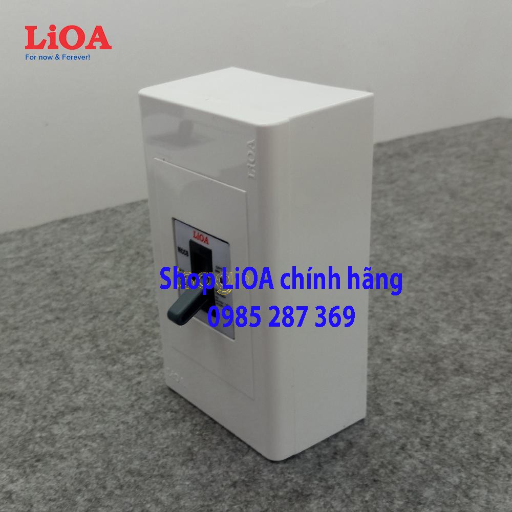 Combo cầu dao tự động an toàn APTOMAT LiOA loại 2 cực 2 tiếp điểm - Lắp nổi lớn