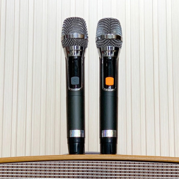 LOA KARAOKE XÁCH TAY NANOMAX X-220