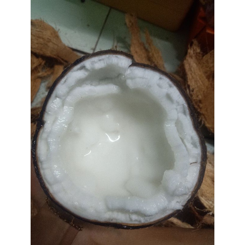 Dừa Sáp Loại 2