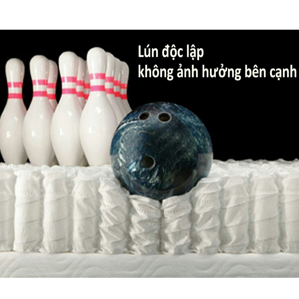 ĐỆM LÒ XO TÚI CAO CẤP D'LOUIS KOHAN NỆM KOHAN