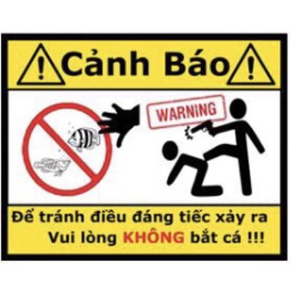 tranh 3D hồ cá