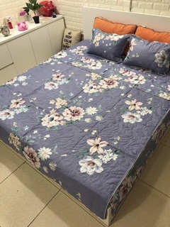 SET CHĂN GA GỐI COTTON POLY TRẦN BÔNG