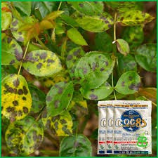Thuốc Trừ Bệnh Coc85 WP (Gói 20g), thuốc trừ bệnh gốc đồng CoC 85