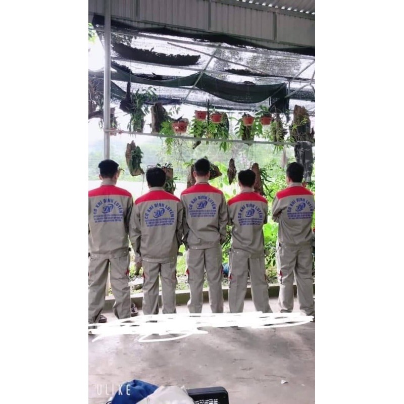 Bộ quần áo bảo hộ lao động hàng may kĩ HD12